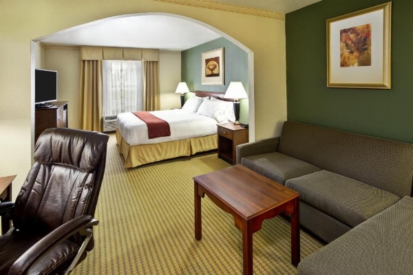 Holiday Inn Express Breaux Bridge by IHG image 13