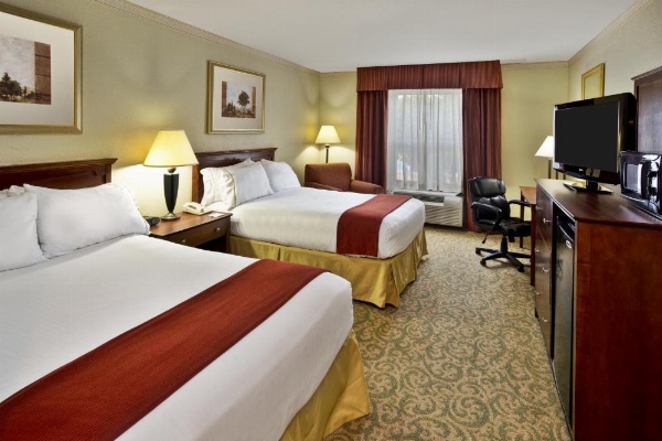 Holiday Inn Express Breaux Bridge by IHG image 19