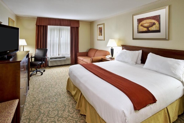 Holiday Inn Express Breaux Bridge by IHG image 21