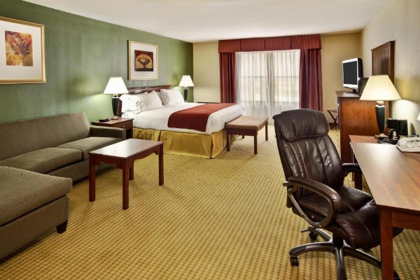 Holiday Inn Express Breaux Bridge by IHG image 22