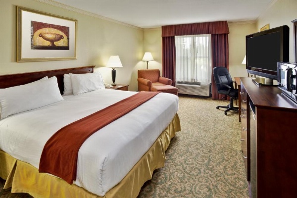 Holiday Inn Express Breaux Bridge by IHG image 6